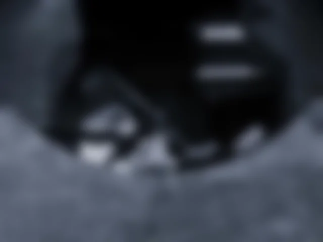 monellaincam image 0